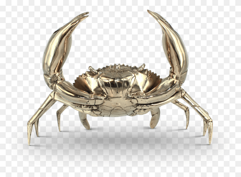 819x584 Silver Metal Crab Pinchy Crabs, Sea Life, Animal, Ring HD PNG Download