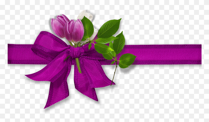 1001x558 Silver Ribbon Bow But I Want To Have The Bow Onsilver Gift Background, Plant, Flower, Blossom HD PNG Download