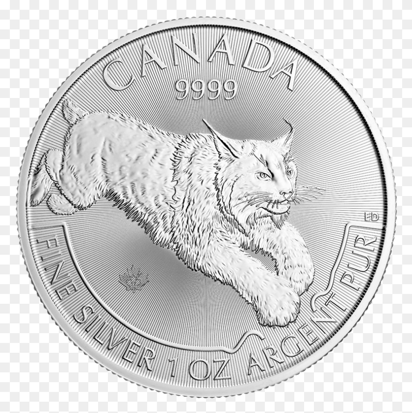 791x795 Серебряный Королевский Канадский Монетный Двор Хищник Серии Рысь Серебро, Кошка, Домашнее Животное, Млекопитающее Hd Png Скачать