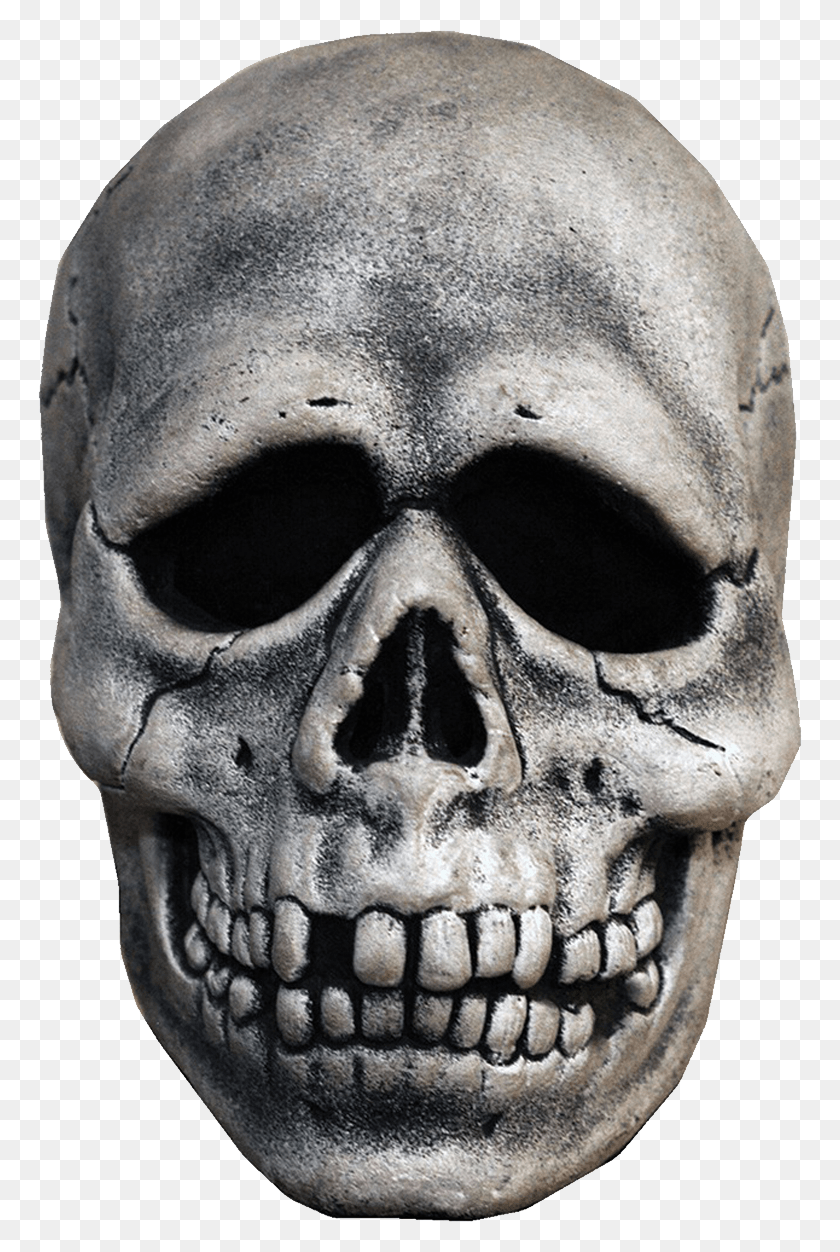 764x1192 Silver Shamrock Skull Mask, Head, Tattoo, Skin HD PNG Download