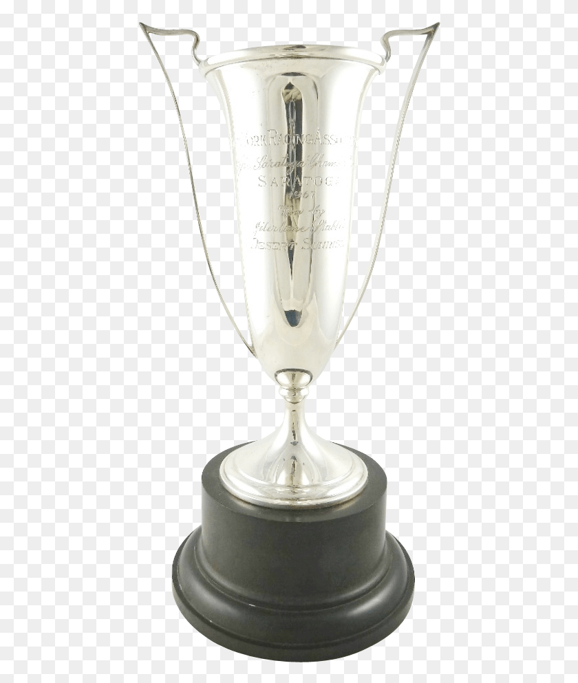 440x933 Silver Trophy, Mixer, Appliance, Lamp HD PNG Download