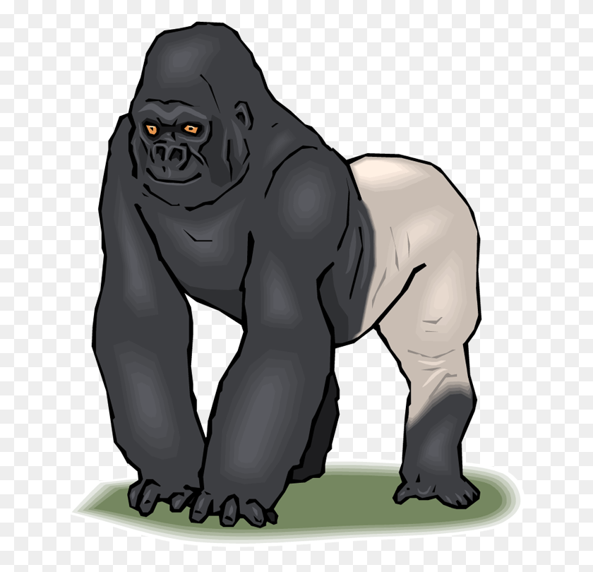 652x750 Silverback Gorilla Clip Art, Ape, Wildlife, Mammal HD PNG Download
