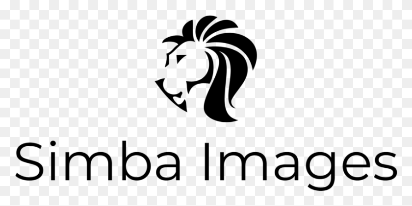 845x392 Simba Images Logo Negro, Gris, World Of Warcraft Hd Png