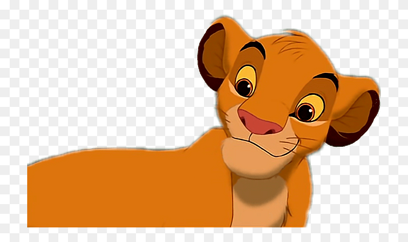 728x438 Simba Lion Thelionking Lionking Nala Disney King Lion King Simba, Toy, Animal, Mammal HD PNG Download