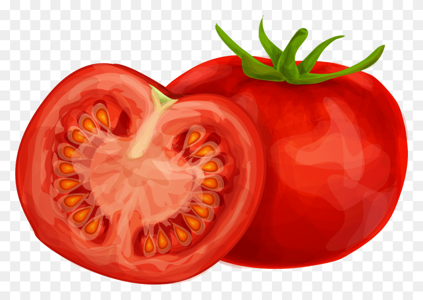 1879x1294 Similar Tomato Cliparts Transparent Tomatos Clip Art, Plant, Vegetable HD PNG Download
