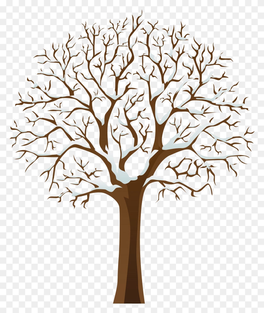 6559x7885 Similar Winter Tree Clipart Pngs, Plant, Bush HD PNG Download