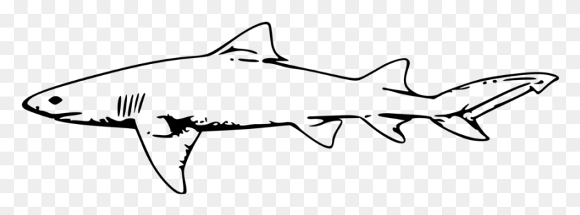 877x284 Similars Shark Clipart Black And White, Gray, World Of Warcraft HD PNG Download