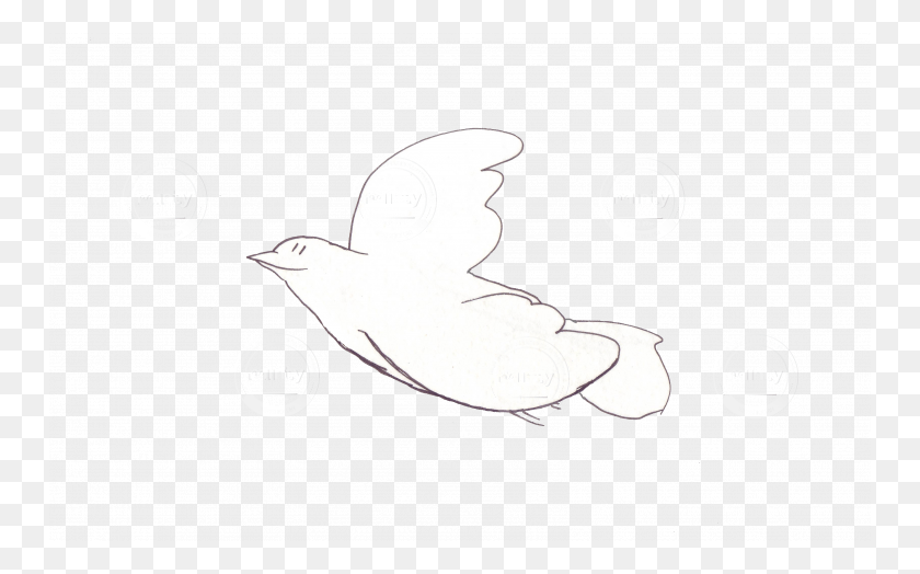 750x464 Simple And Neat Flying Bird Dove, Text, Animal, Pigeon HD PNG Download
