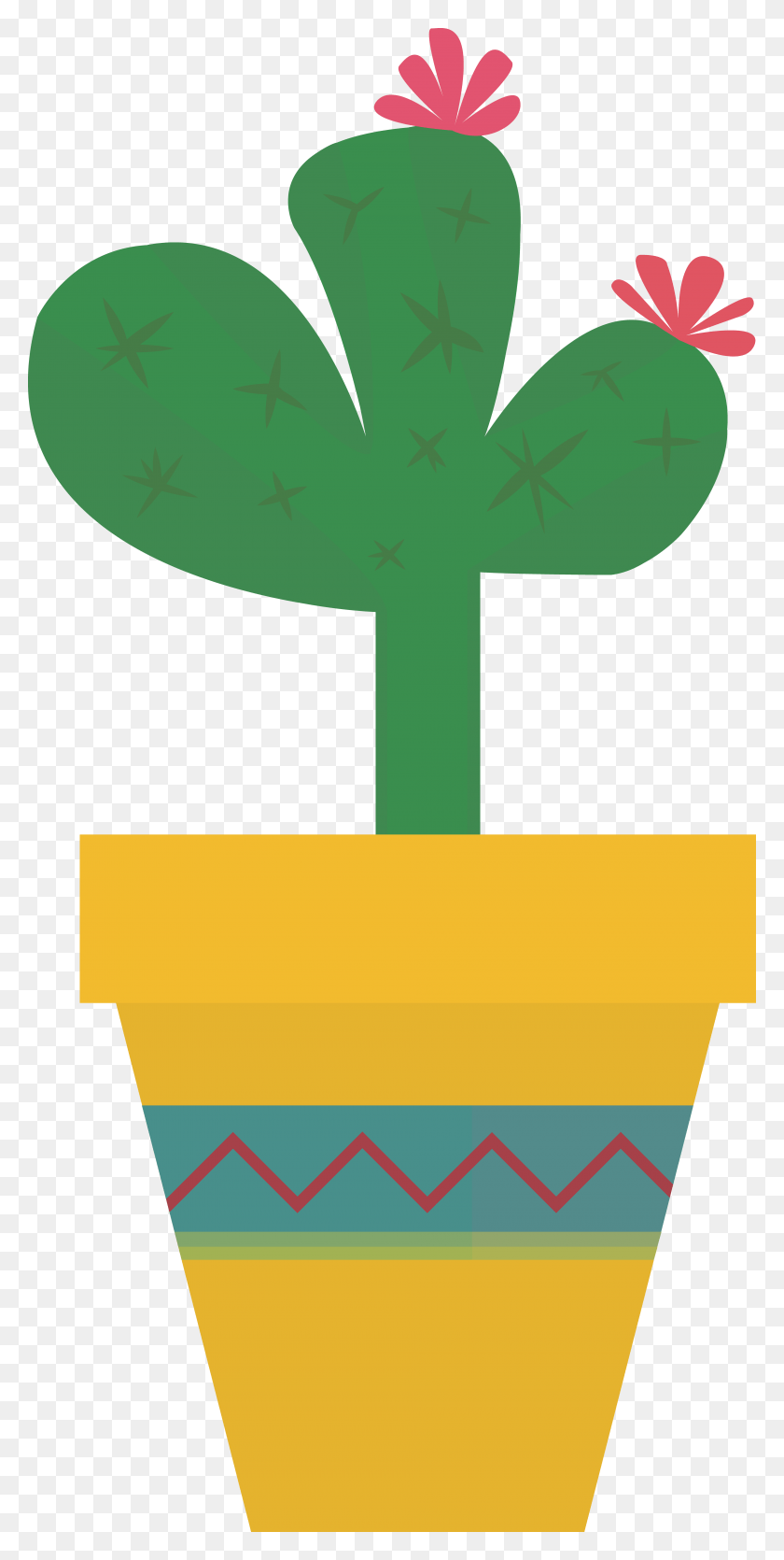 3840x7931 Simple Cactus Drawing, Plant, Produce, Food HD PNG Download
