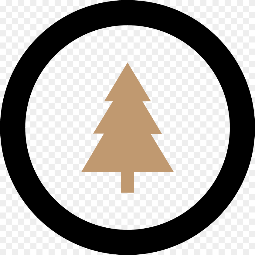 Simple Christmas Tree Shape, Triangle, Symbol, Disk Transparent PNG