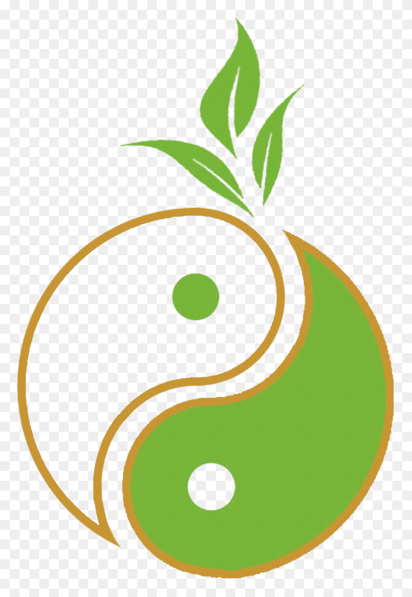 777x1157 Simple Cures Logo Acupuncture Acupuncture Logo Free, Plant, Produce, Food HD PNG Download