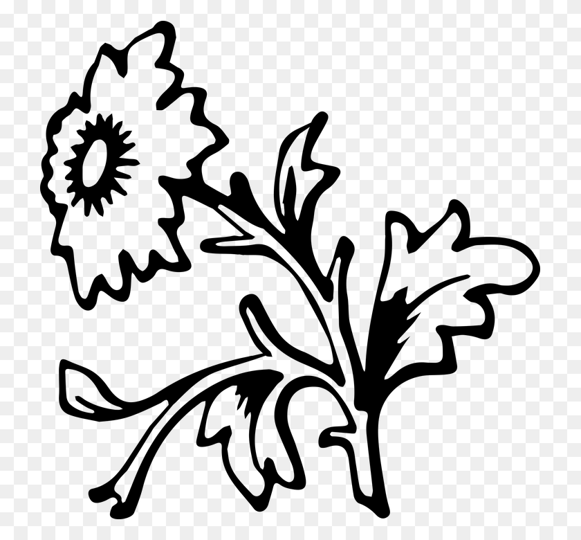 723x720 Simple Flower Floral Flora Lineart Line Art Bloom, Gray, World Of Warcraft HD PNG Download