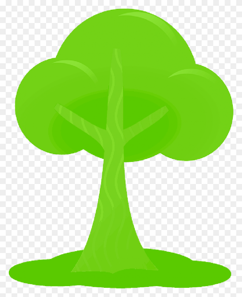 800x998 Simple Outline Drawing Tree Cartoon Free Peach Public, Green, Plant, Leaf HD PNG Download
