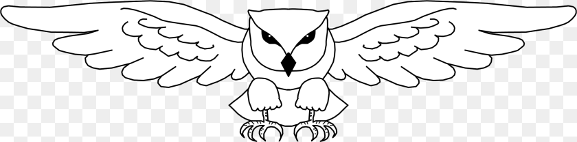 Simple Owl Line Drawing Owl Open Wings Drawing, Face, Head, Person Transparent PNG