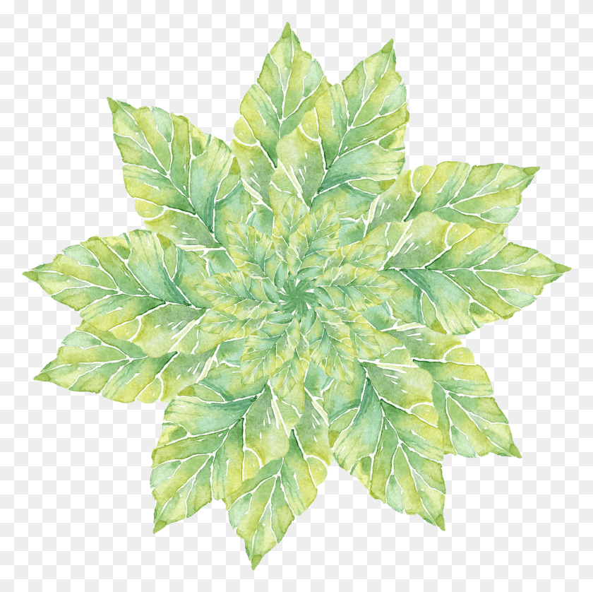 1710x1706 Simple Plant Watercolor Fresh And Psd Houseplant, Leaf, Tree, Bush HD PNG Download