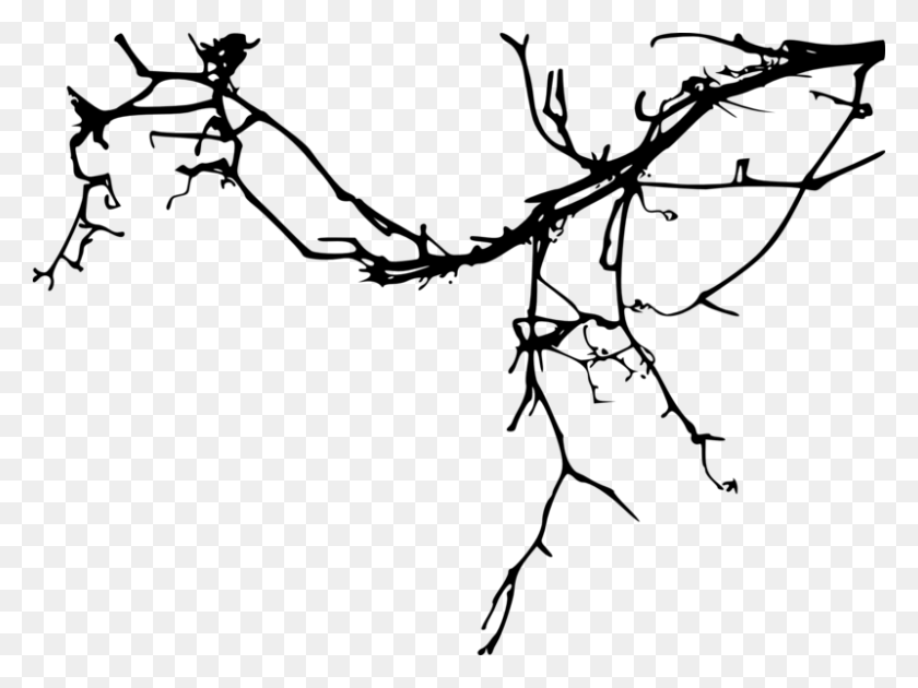 800x585 Simple Tree Branch Branch, Gray, World Of Warcraft HD PNG Download