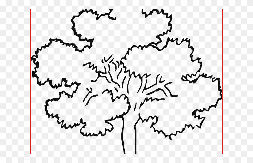 640x480 Простой Рисунок Дерева Контур Дуба Рисунок, Графика, Цветочный Дизайн Hd Png Скачать