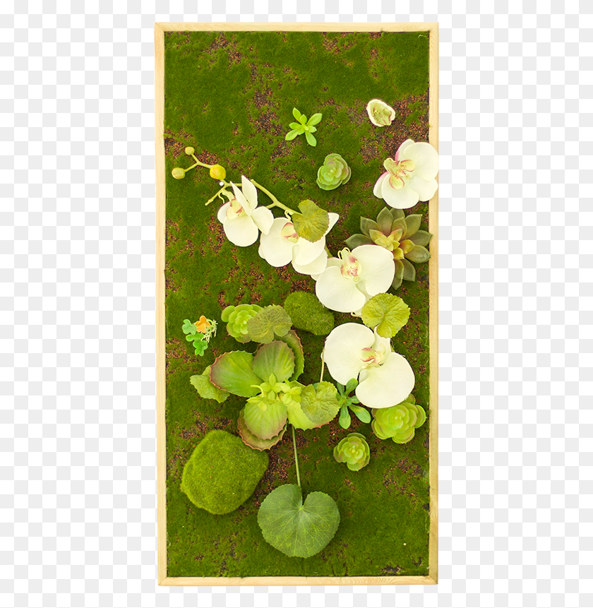 407x801 Simulation Plant Wall Decoration Wall Green Plant Wall Artificial Flower, Blossom, Araceae, Leaf HD PNG Download