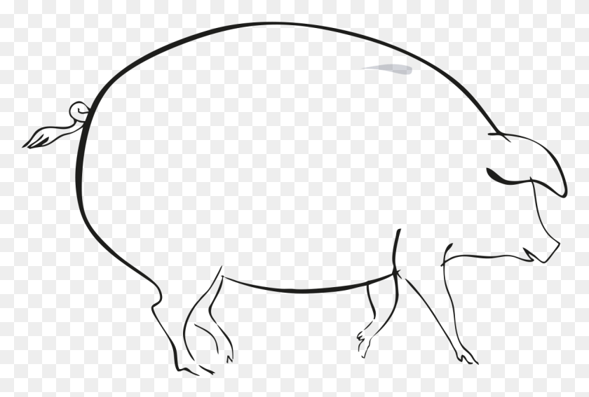 1172x763 Рисунок Глютена Греха, Млекопитающее, Животное, Свинья Hd Png Скачать