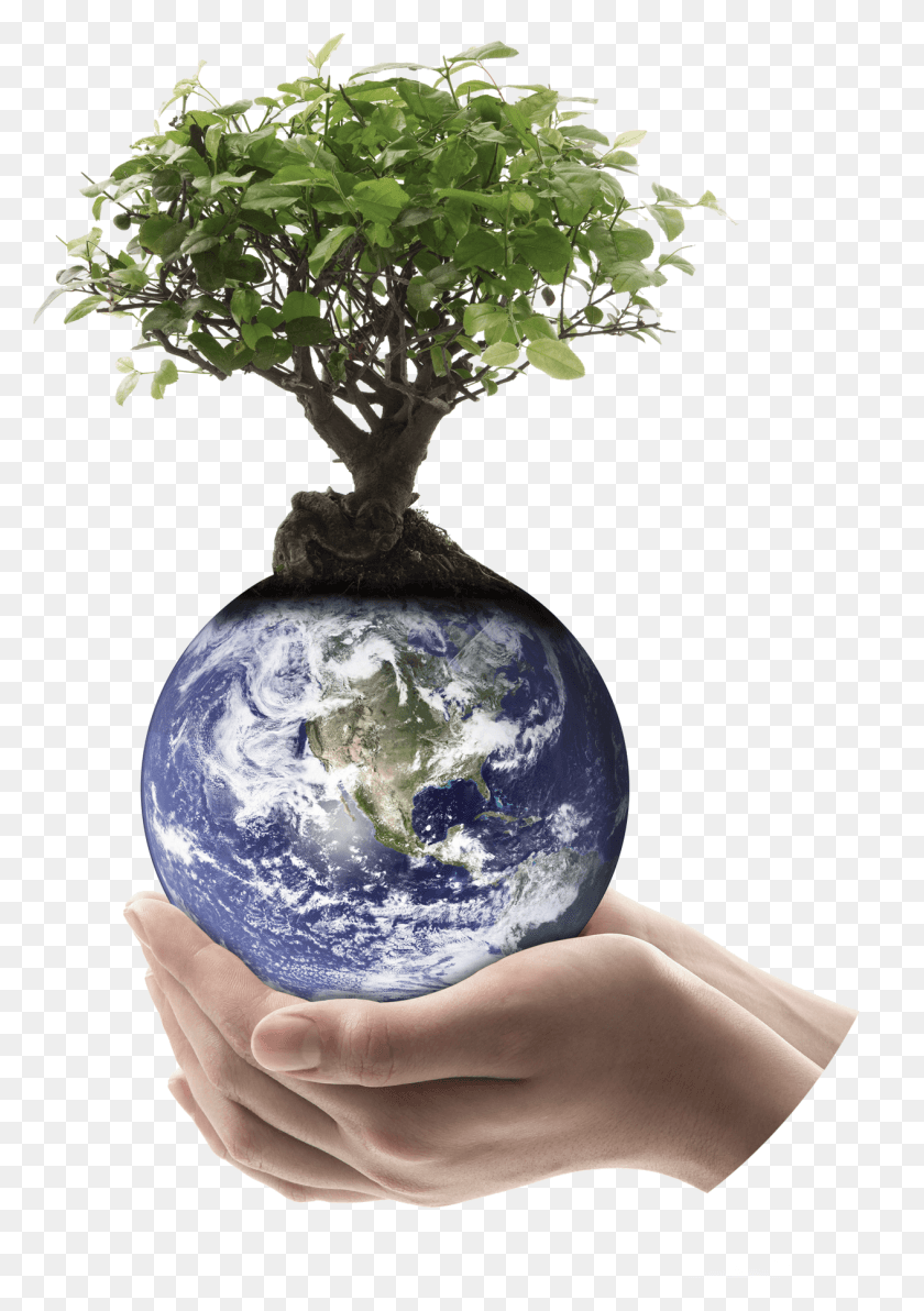 1264x1836 Since 01 01 World Blowing Up Cartoon, Plant, Potted Plant, Vase HD PNG Download