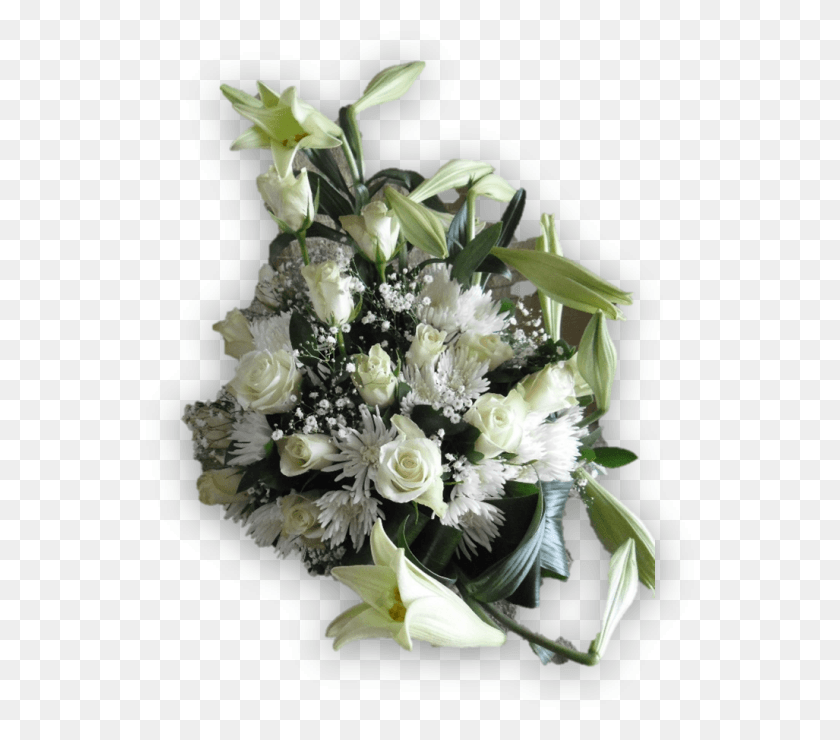 549x680 Sincerity Bouquet, Plant, Flower, Blossom HD PNG Download