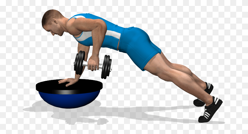 689x394 Single Arm Dumbbell Row On Bosu Involved Muscles During Esercizi Dorsali A Casa, Person, Human, Working Out HD PNG Download