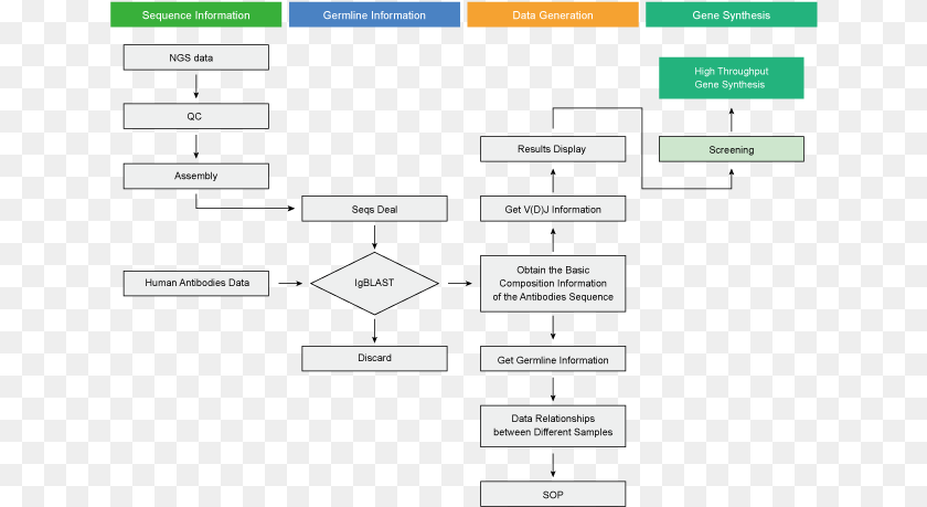 Single B Cell Antibody Sequencing Analysis Diagram PNG