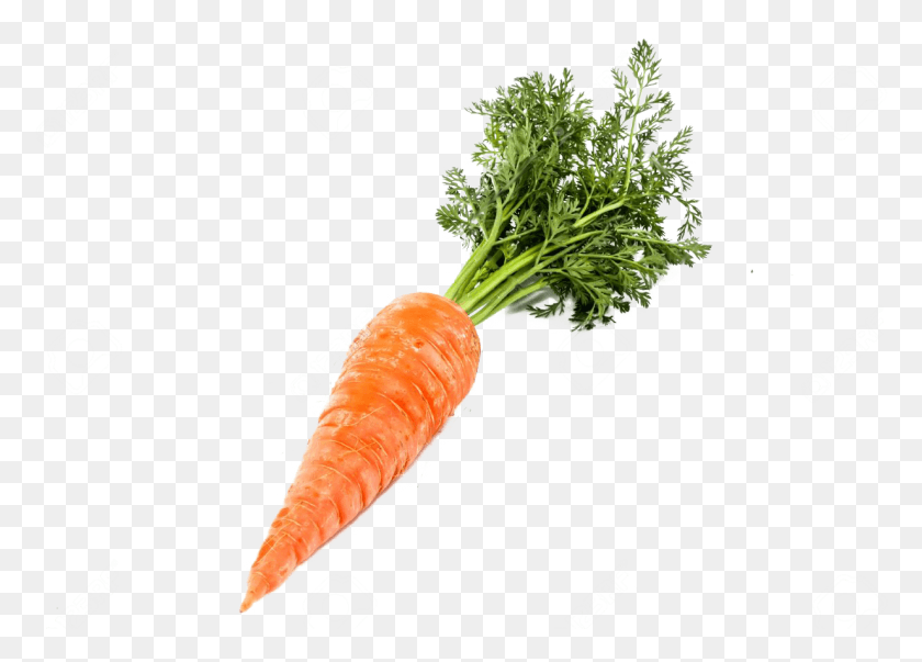 Single Carrot Image Transparent Background Carrot, Plant, Vegetable, Food HD PNG Download