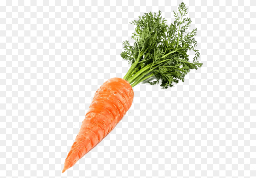 1233x859 Single Carrot Background Carrot, Food, Plant, Produce, Vegetable Transparent PNG