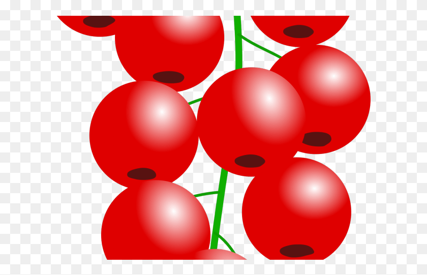 619x481 Single Clipart Cranberry Redcurrant, Plant, Fruit, Food HD PNG Download