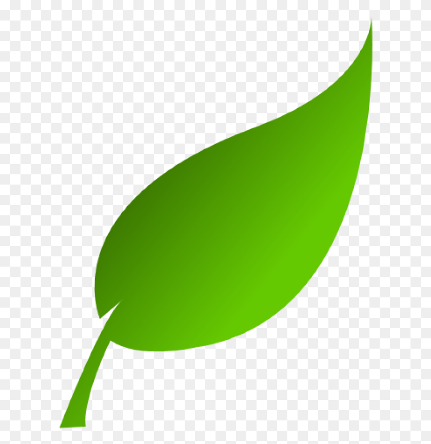 613x806 Single Green Leaf Clip Art, Plant, Green, Food HD PNG Download