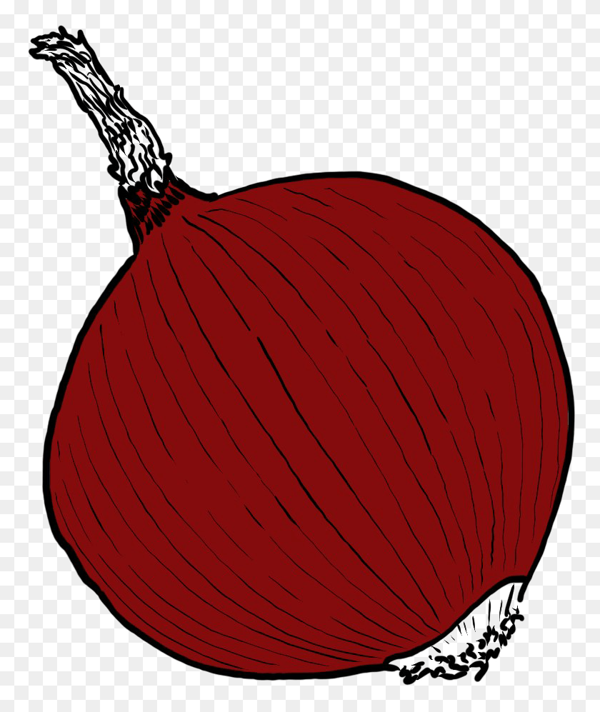 777x937 Single Onion Image, Plant, Food, Vegetable HD PNG Download