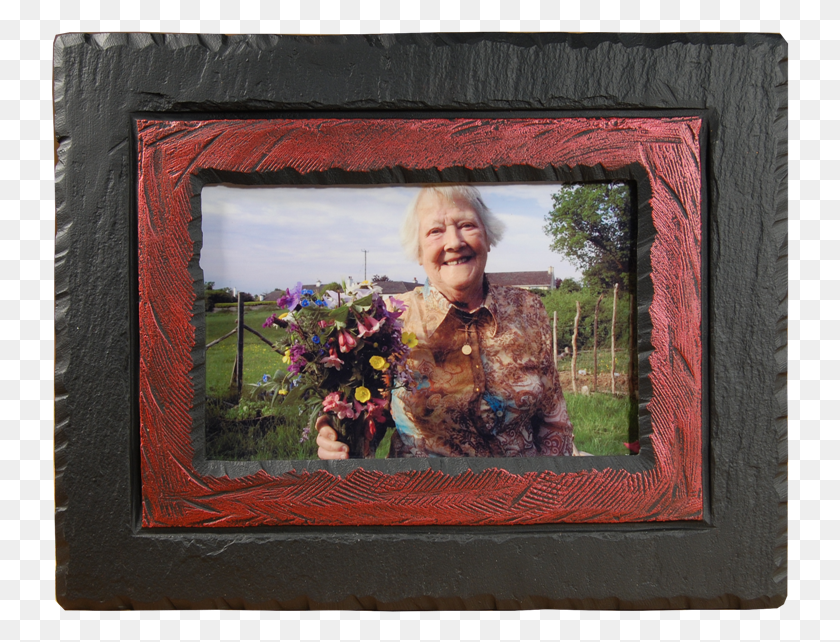 739x582 Single Picture Frames Picture Frame, Plant, Person, Human HD PNG Download