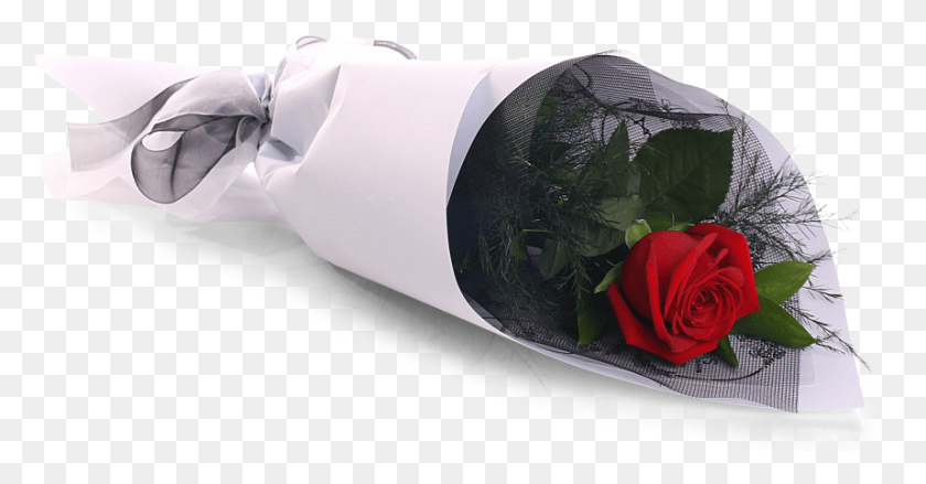 858x417 Single Red Rose Single Flower Gift, Rose, Plant, Blossom Descargar Hd Png