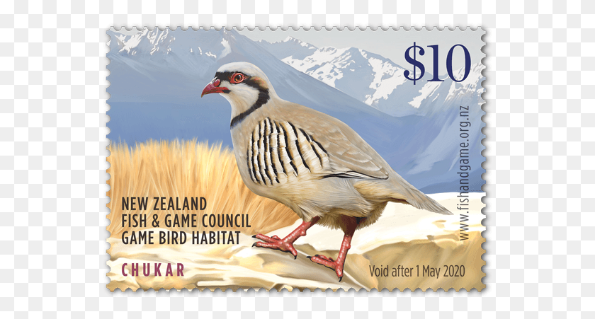 553x391 Single Stamps Partridge, Bird, Animal, Postage Stamp HD PNG Download