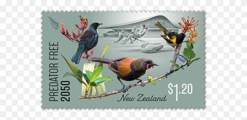 572x349 Single Stamps Predator Free Stamps Nz, Bird, Animal, Person HD PNG Download
