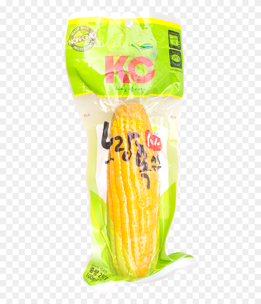 436x917 Single Sweet Corn On The Cob, Plant, Food, Vegetable HD PNG Download