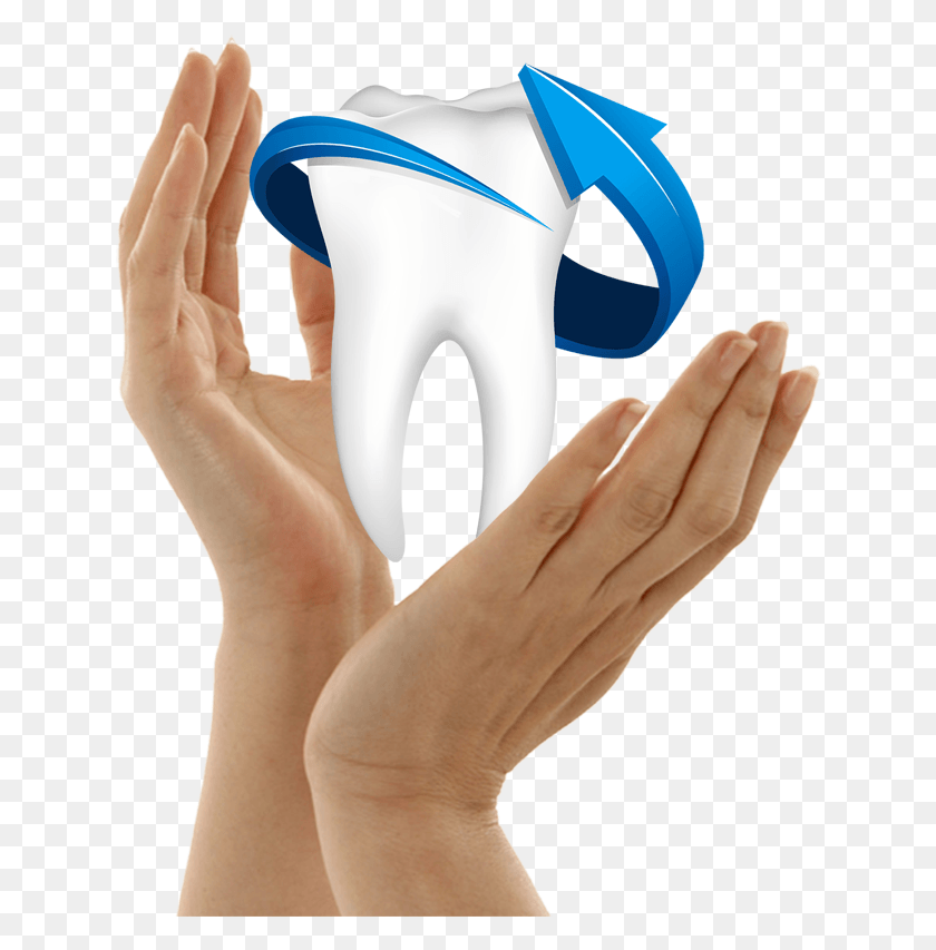 634x793 Single Teeth Free Dentistry, Hand, Person, Human HD PNG Download