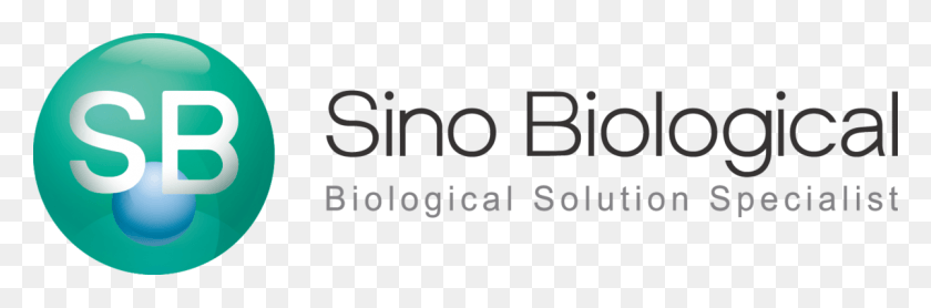 1200x336 Sino Biological Logo Sino Biological, Text, Alphabet, Symbol Descargar Hd Png