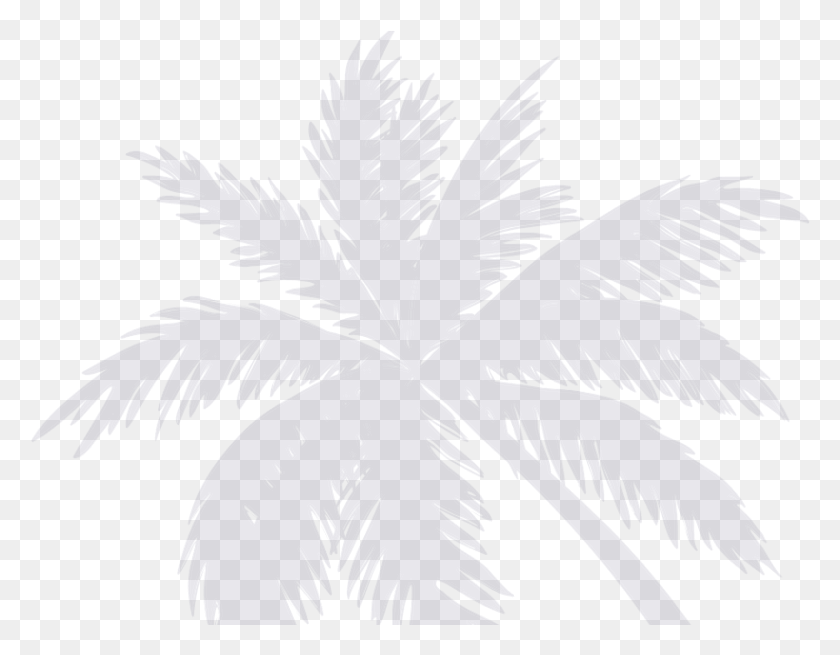 822x628 Sissylittle Palms Wall Decal Attalea Speciosa, Leaf, Plant, Bird Descargar Hd Png