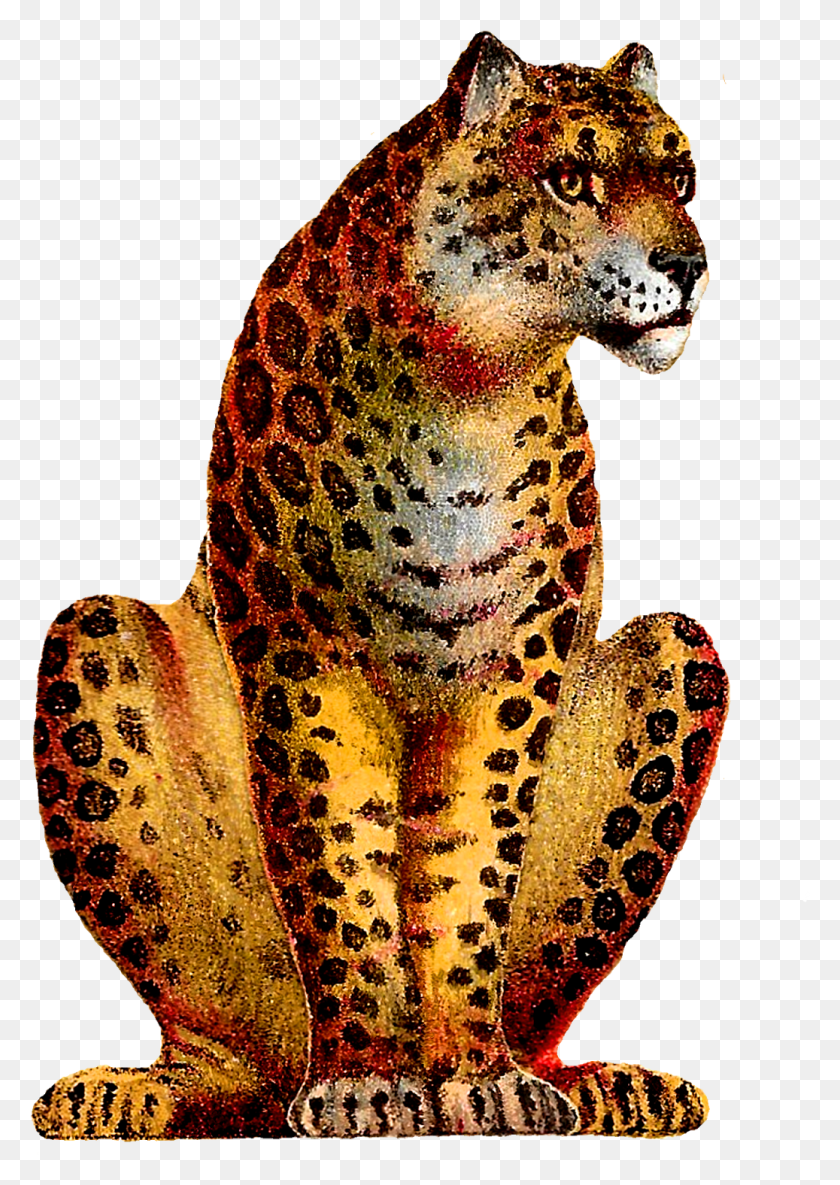 1037x1496 Сидящий Леопард Высокое Качество Изображения Винтажное Животное, Дикая Природа, Амфибия, Млекопитающее Hd Png Скачать