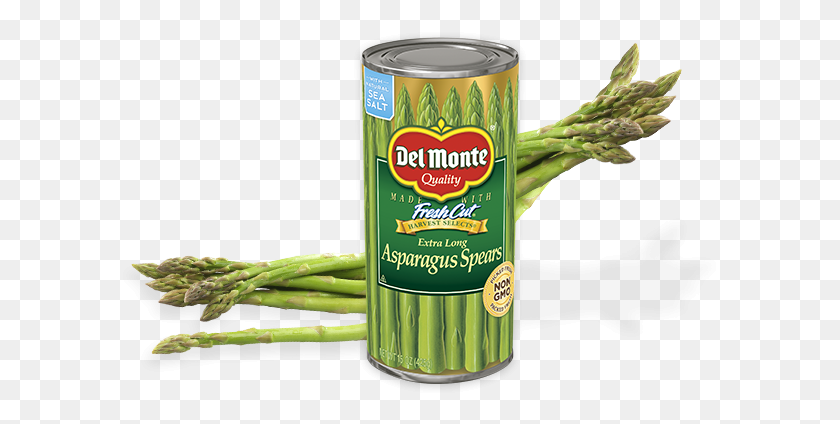 603x364 Sizes Available 15oz Monte, Plant, Food, Tin HD PNG Download