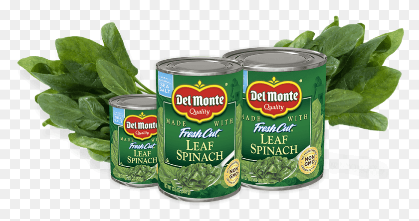 910x448 Sizes Available 7 75oz 13 5oz 22 5oz 27oz Del Monte Spinach, Canned Goods, Can, Aluminium HD PNG Download