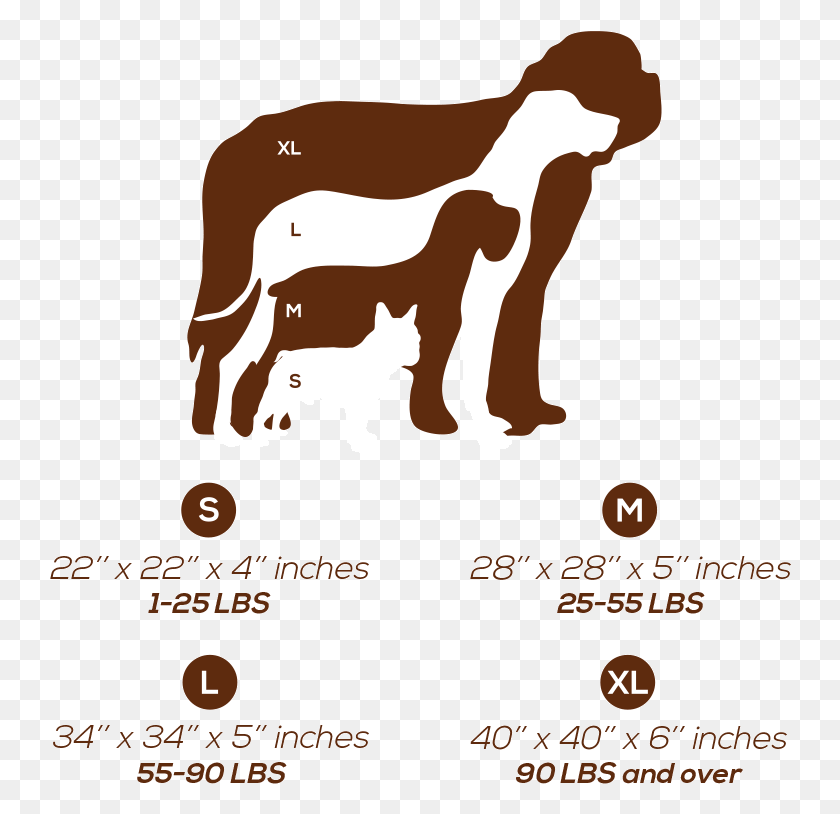 742x754 Sizes Dogs Bed Longdog, Animal, Mammal, Text Descargar Hd Png