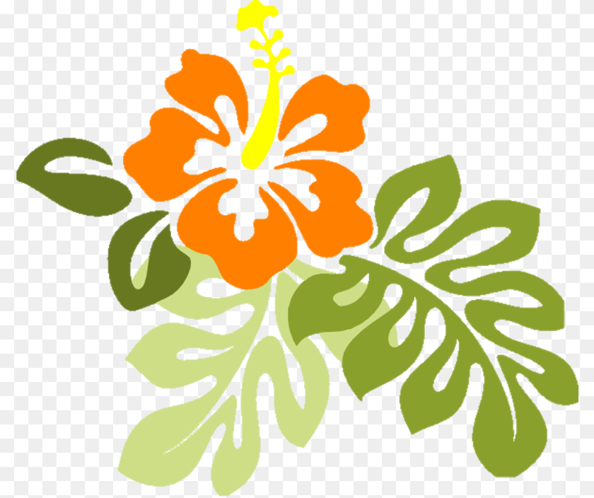 796x704 Skal Hawaii Has Made Arrangements To Ensure That You Hibiscus Clip Art, Flower, Plant, Baby, Person PNG