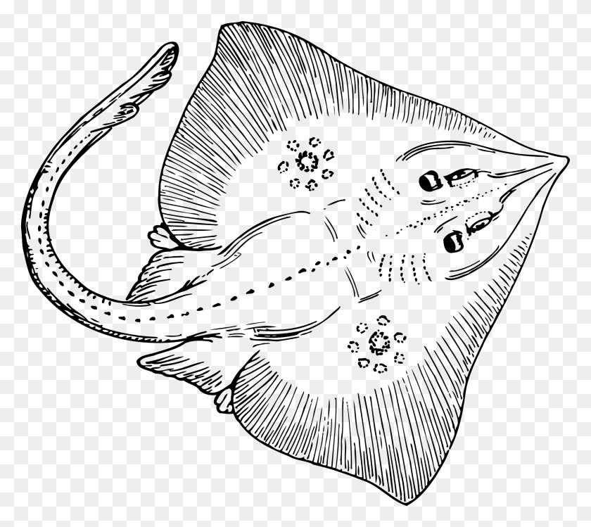 2400x2122 Skate Ray Vector Clipart Image Stingray Black And White, Gray, World Of Warcraft HD PNG Download