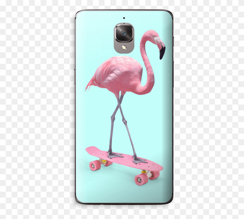 361x694 Skateboarding Flamingo Skin Oneplus Skate Flamingo, Pájaro, Animal, Pico Hd Png