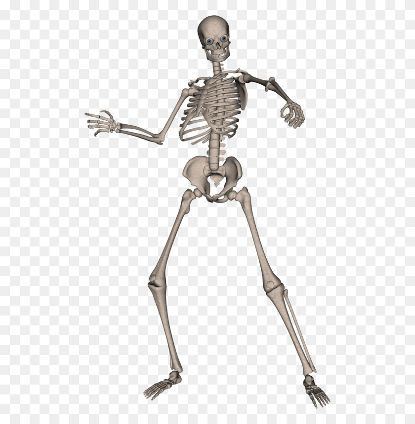 500x800 Skeleton, Bow, Person, Human HD PNG Download