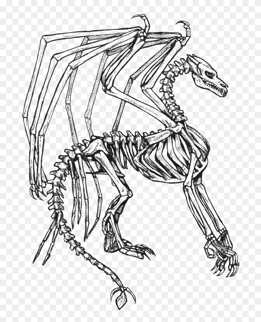 700x976 Skeleton Bone Dragon Coloring Pages Skeleton Dragon Coloring Page, Horse, Mammal, Animal HD PNG Download