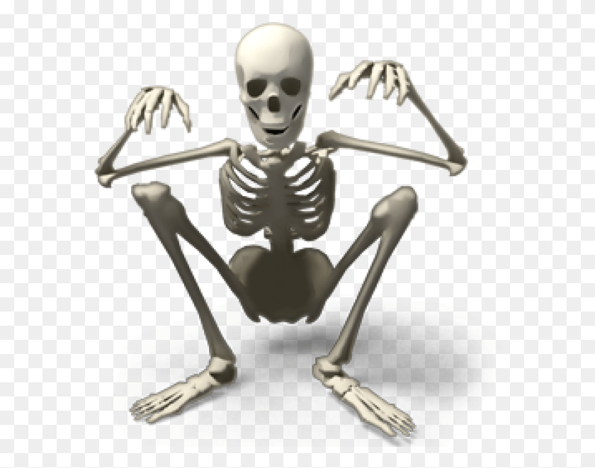 576x601 Skeleton Free Skeleton Icons, Person, Human HD PNG Download